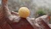 251473 – Photo : Catherine Reymonet-Smitten – France (11)